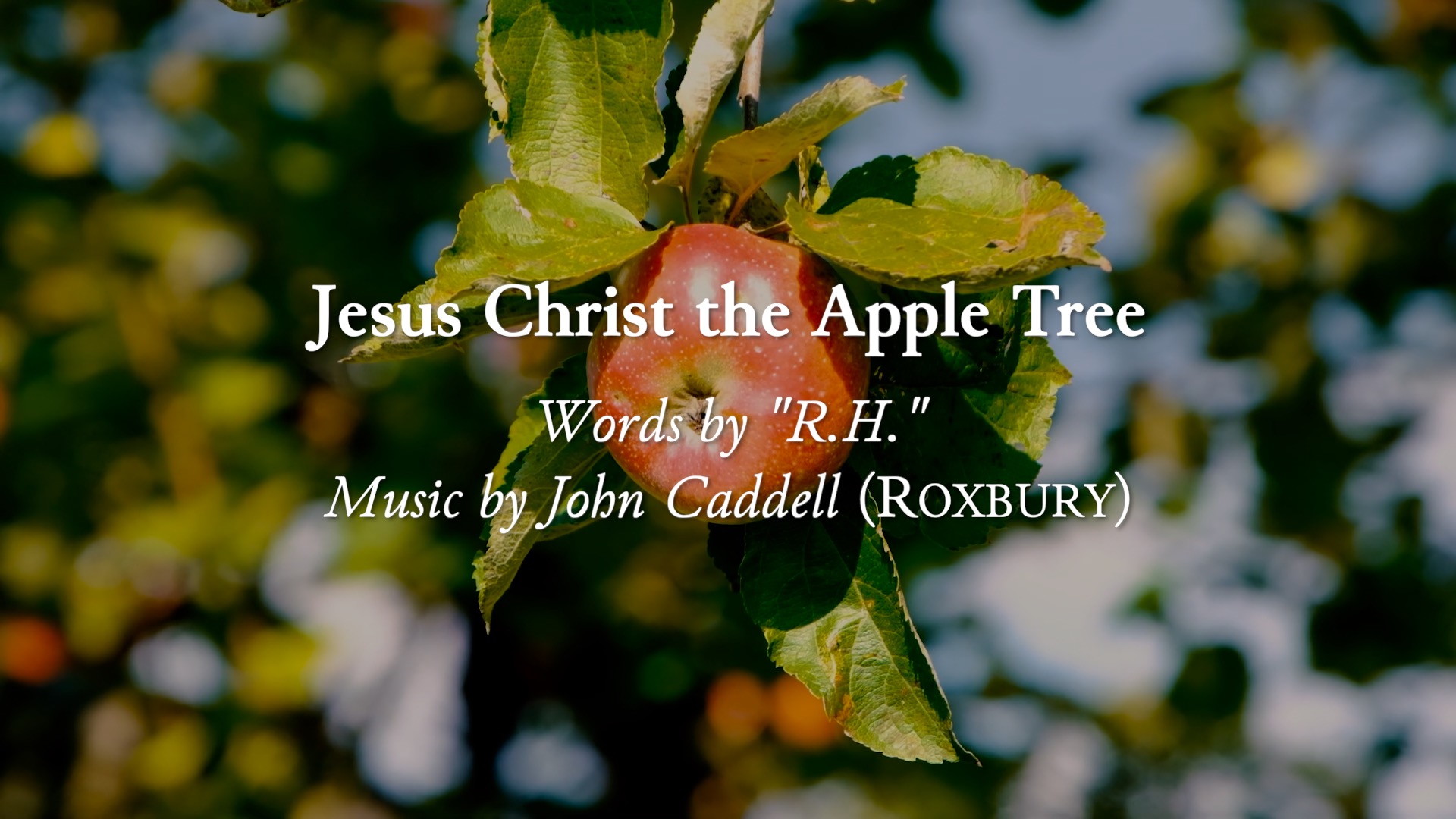 Jesus Christ the Apple Tree: Old Words, New Music